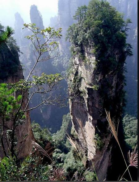 長沙出發(fā)到張家界溶洞奇觀黃龍洞、國家森林公園、袁家界、峰林之王天子山三日游（早班）