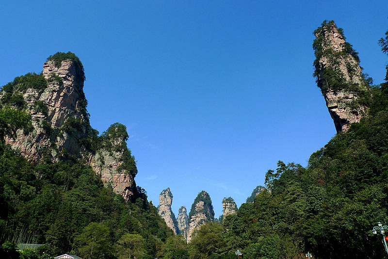 張家界國家森林公園、黃龍洞、天門山、鳳凰古城純玩五日游